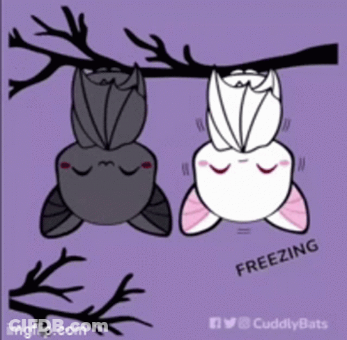 Two Bats Hanging Upside Down From A Tree Branch With The Words Freezing Written Below Them GIF