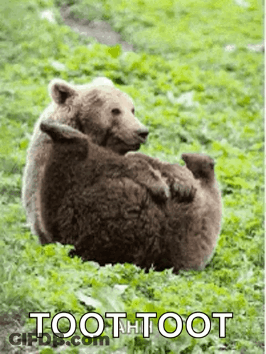 Two Bears Laying In The Grass With The Words Tooth Toot Written On The Bottom GIF