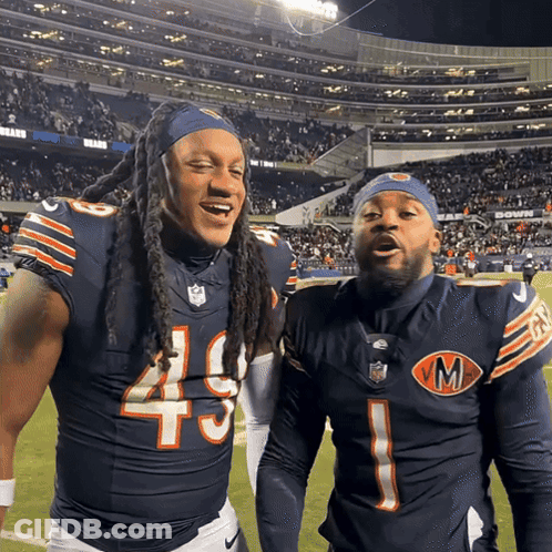 Two Bears Players Standing Together GIF