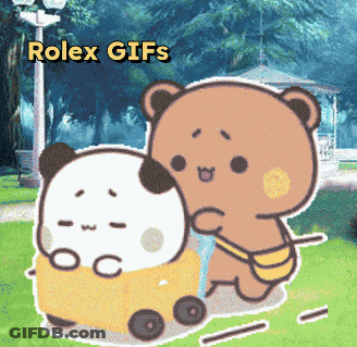 Two Bears Playing With Toy GIF