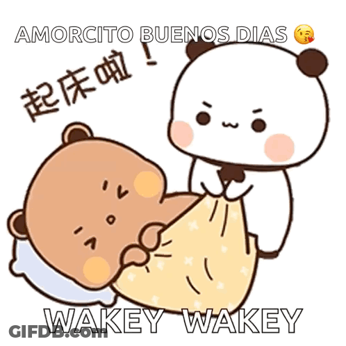 Two Bears Saying Buenos Dias GIF
