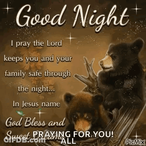 Two Bears Sitting On Tree Branch Good Night GIF