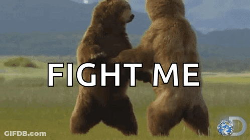 Two Bears Standing In Field Saying Fight Me GIF