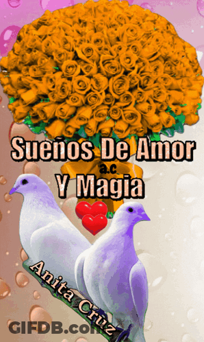 Two Birds And Roses Suenos De Amor Y Magia By Anita Cruz GIF