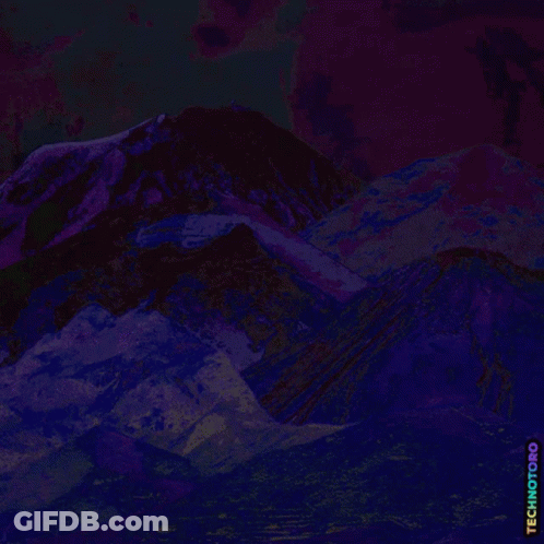 Two Birds Ecuador P GIF