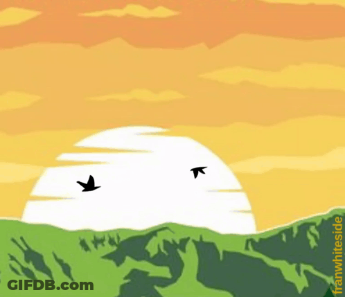 Two Birds Flying In Front Of Sunset Franwhite.de GIF