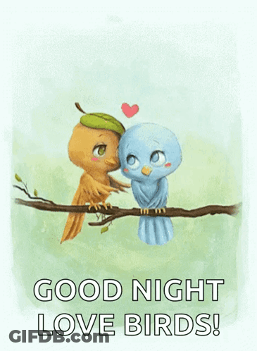 Two Birds Kissing On A Tree Branch With The Words Good Night Love Birds GIF
