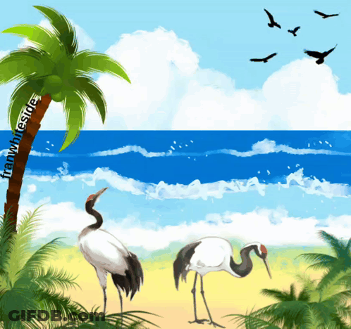 Two Birds On A Beach Franwhiteside GIF
