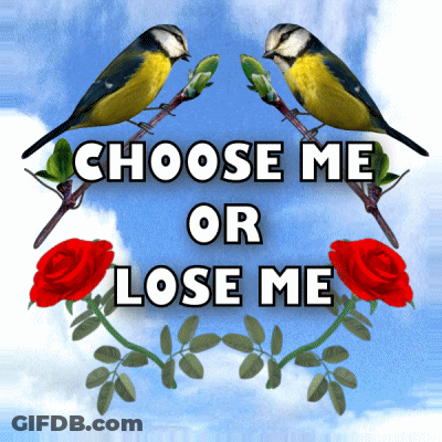 Two Birds On Branch Saying Choose Me Or Lose Me GIF