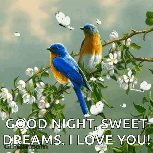 Two Birds On Branch With Flowers And Butterflies GIF