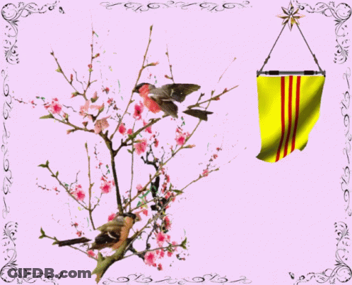 Two Birds On Tree Branch 2019 Greeting Card GIF