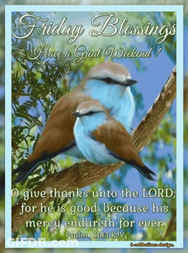 Two Birds On Tree Branch Friday Blessings GIF
