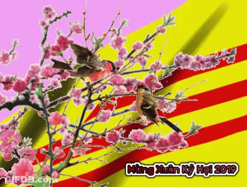 Two Birds On Tree Branch With Flowers 2019 GIF