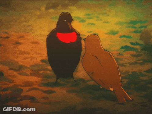 Two Birds One Red Heart On Chest GIF