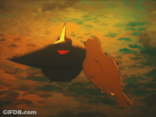Two Birds One Yellow Beak GIF