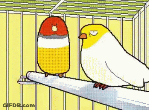 Two Birds Side By Side One With Red Heart GIF