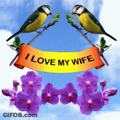 Two Birds Sitting On A Branch With Purple Flowers And A Banner That Says I Love My Wife GIF