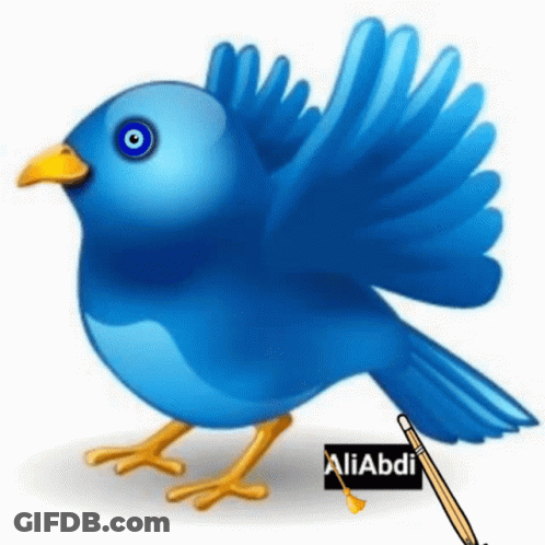 Two Birds Sitting On Branch In Cage GIF