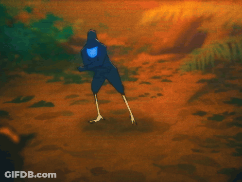 Two Birds Standing Beside Person GIF