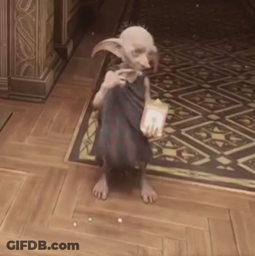 Two Birds Walking Down A Street GIF