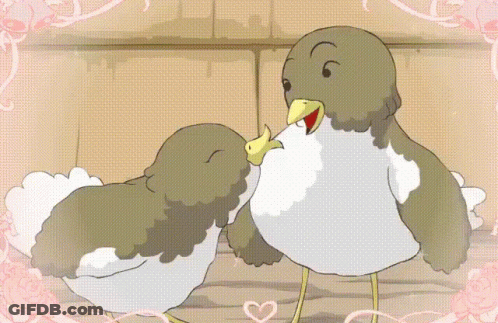 Two Birds With Hearts GIF