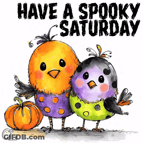 Two Birds With Pumpkins Have A Spooky Saturday GIF