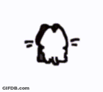 Two Black And White Cats Standing GIF