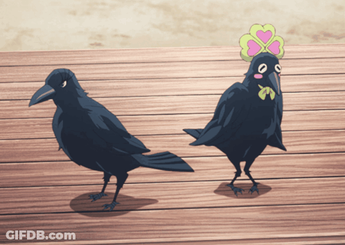 Two Black Birds Standing On Wooden Floor GIF