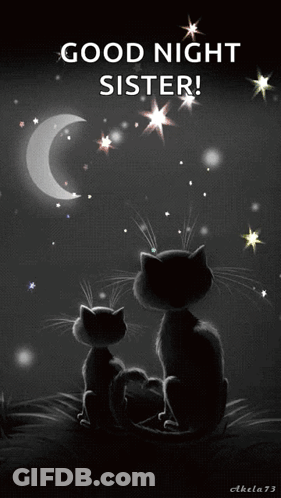 Two Black Cats Before Crescent Moon Wishing Good Night Sister GIF