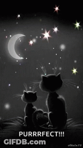 Two Black Cats Looking At Moon And Stars Saying Purrfect GIF