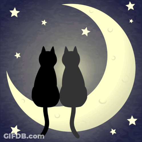 Two Black Cats Sit On A Crescent Moon With Stars In The Background GIF
