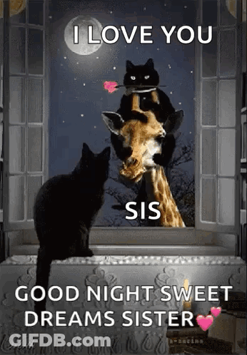 Two Black Cats Sitting On Giraffe Saying I Love You Sis Good Night Sweet Dreams Sister GIF