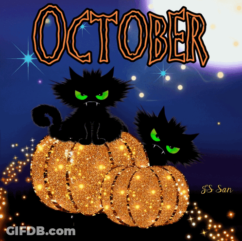Two Black Cats Sitting On Pumpkin With October GIF