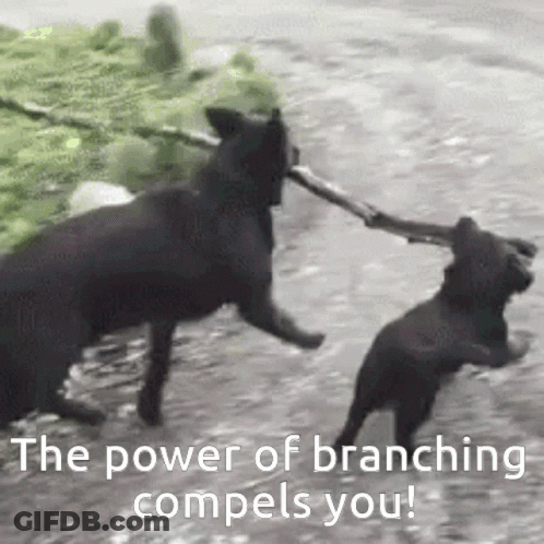 Two Black Dogs Are Playing With A Stick With The Caption The Power Of Branching Compels You ! GIF