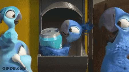 Two Blue Birds One With Soda Can GIF