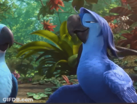 Two Blue Birds Standing In Lush Green Forest GIF