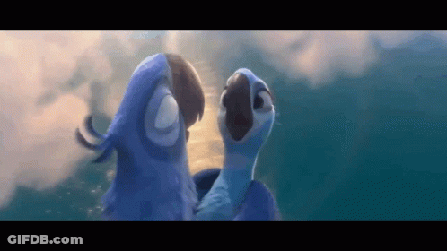 Two Blue Birds Standing In Water GIF