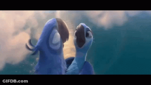 Two Blue Birds Standing In Water Looking At Each Other GIF