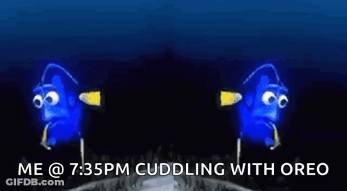 Two Blue Fish Hugging GIF