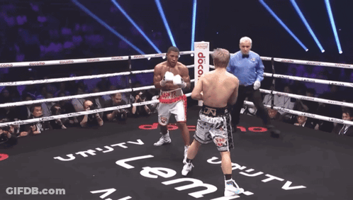Two Boxers Boxing Ring Utility TV GIF