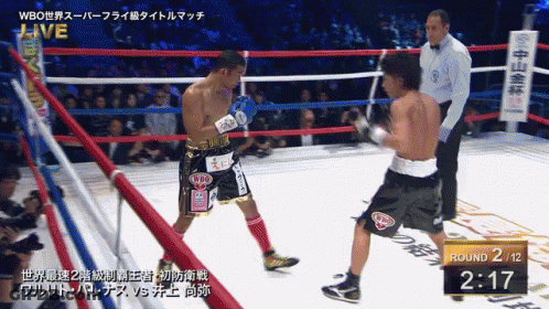 Two Boxers Fighting In Ring GIF