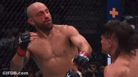 Two Boxers Fighting, One Bleeding GIF