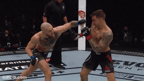 Two Boxers Fighting One In Reebok Shorts GIF