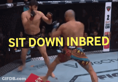 Two Boxers Fighting Sit Down Inbred GIF