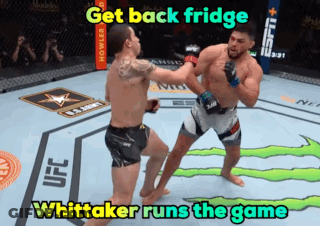Two Boxers Get Back Fridge Whitaker Runs Game GIF