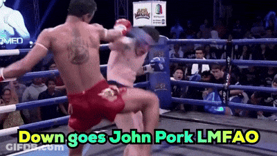 Two Boxers In A Ring With The Words Down Goes John Pork Lmfao Above Them GIF