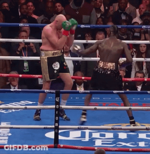 Two Boxers In Boxing Ring With Corona Advertisement GIF