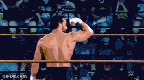 Two Boxers In Boxing Ring With Everlast Auto Parts GIF