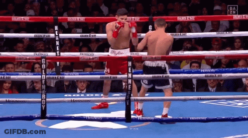 Two Boxers In Ring With Golden Boy Sign GIF
