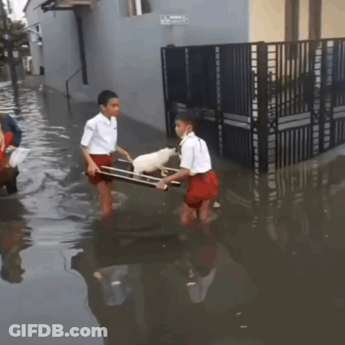 Two Boys Carrying White Dog In Sling Through Flooded Street GIF